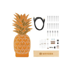 Whadda WSXL107 Ananas XL Kits bouwpakket