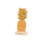 Whadda WSXL107 Ananas XL Kits bouwpakket